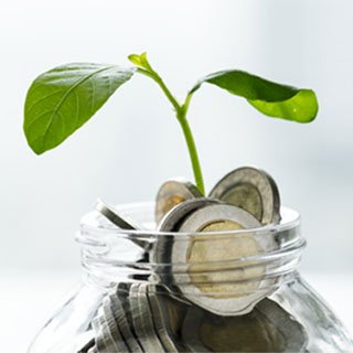 Financial and Business Advisory Services